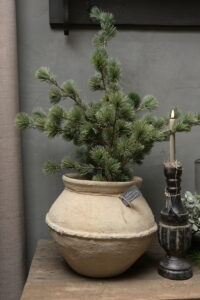 Kerstboom Kunst Pinus