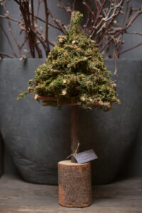 Dennenboompje Op Voet Hout